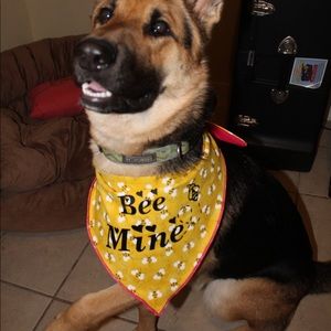 Reversible and personalized pet bandanas.